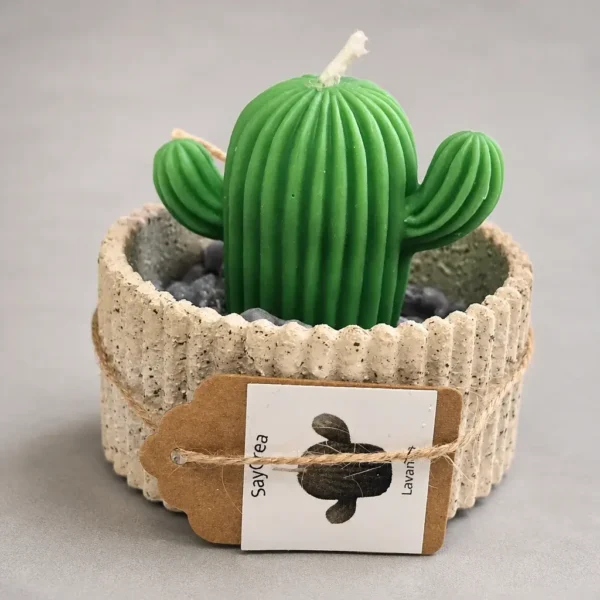 Cactus