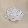 Quemador Lotto