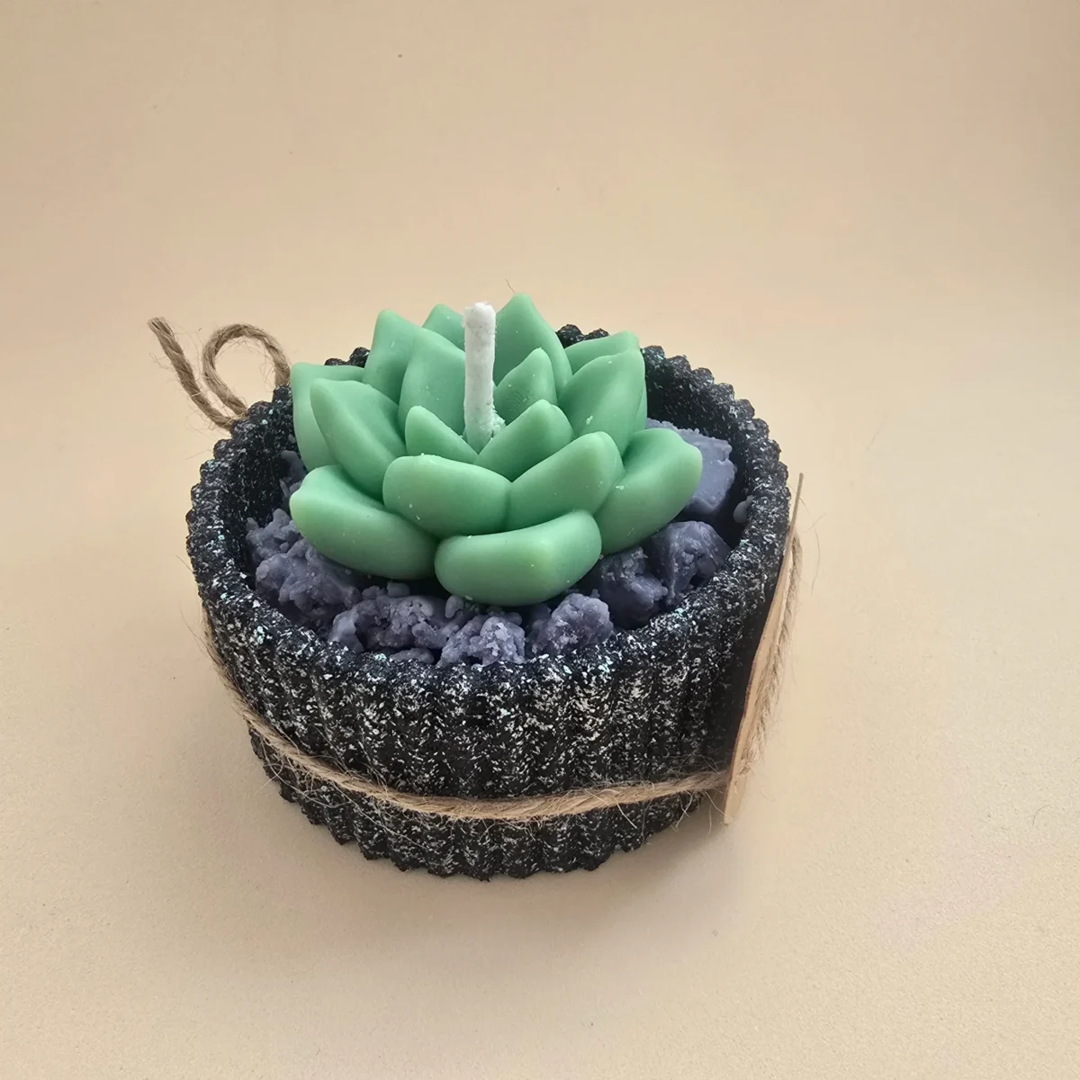 Suculenta, vela decorativa (1) Suculenta