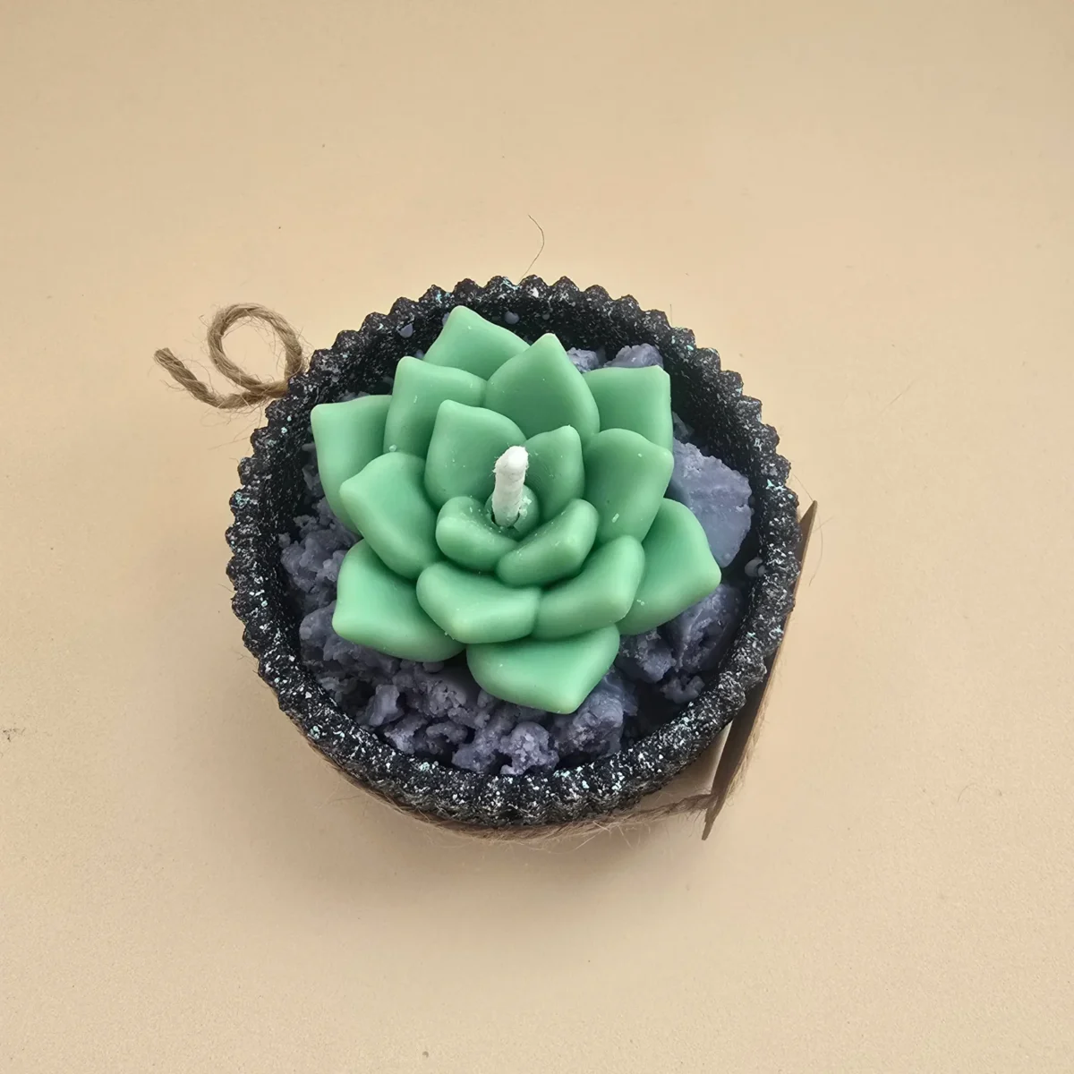 Suculenta, vela decorativa (2) Suculenta