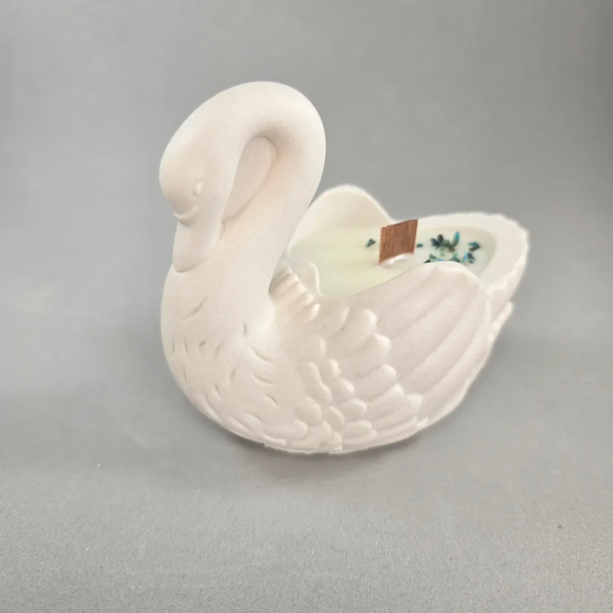 Cisne