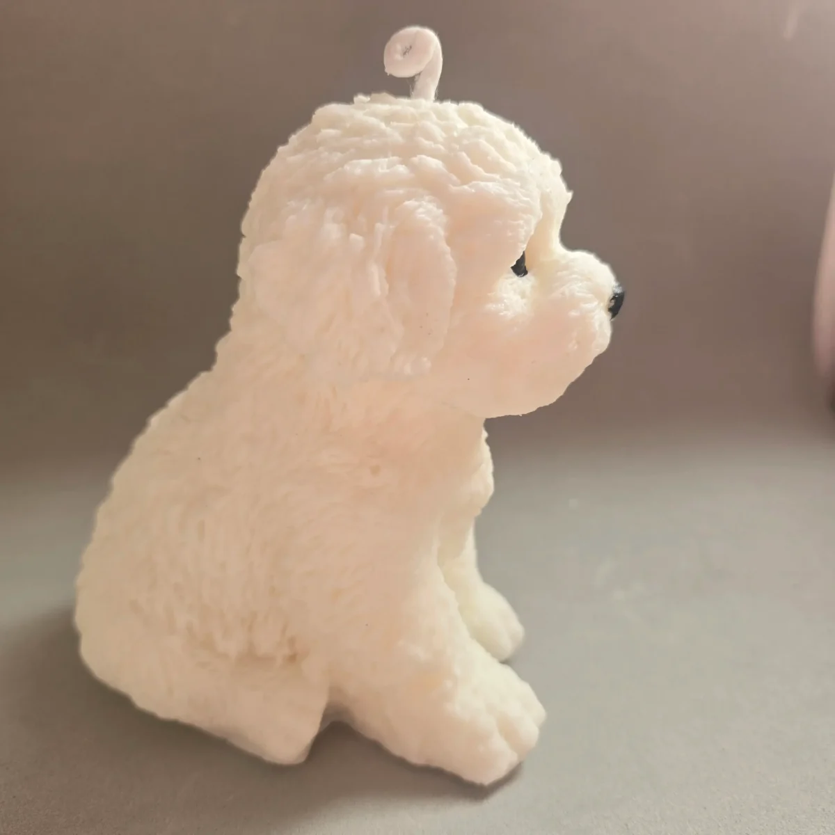 Perro Coco