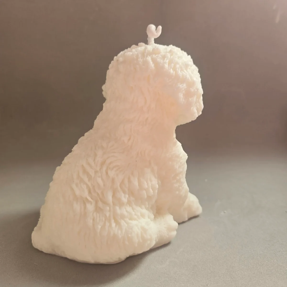 Perro Coco