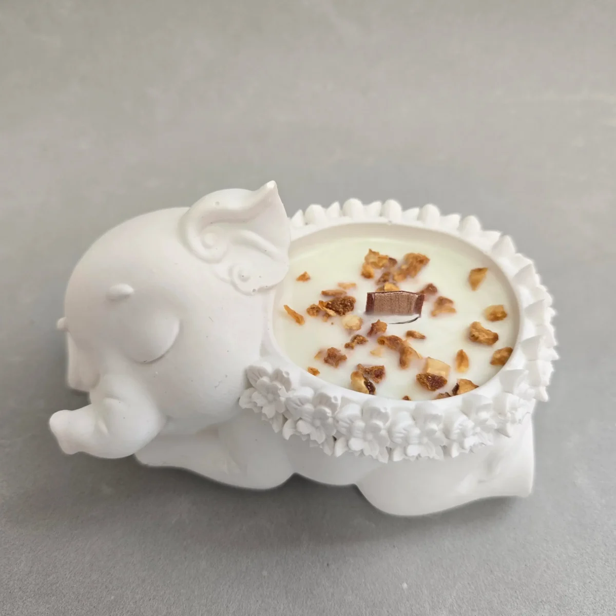 Elefante Soñador
